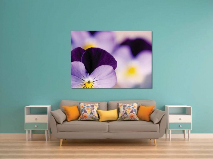 Tablouri Canvas Flori - Flori mov [2]