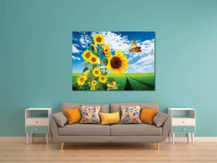 Tablouri Canvas Flori - Fluture si floarea soarelui [2]