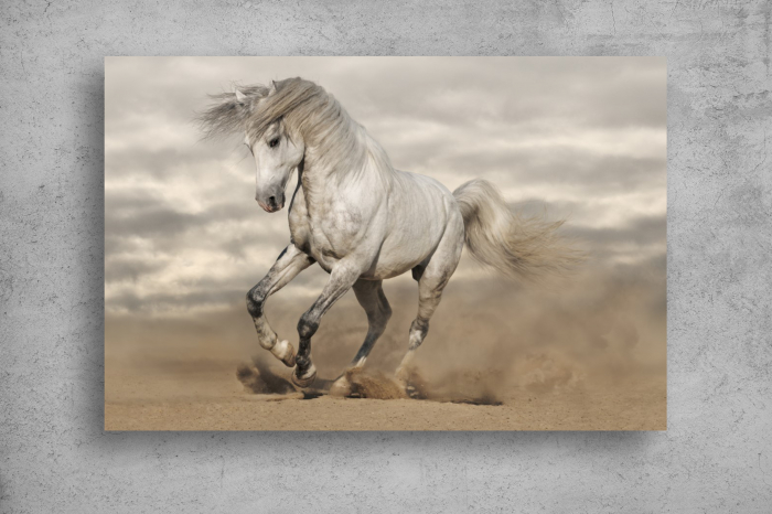 Tapet Premium Canvas - Cal alb si cerul innorat [2]