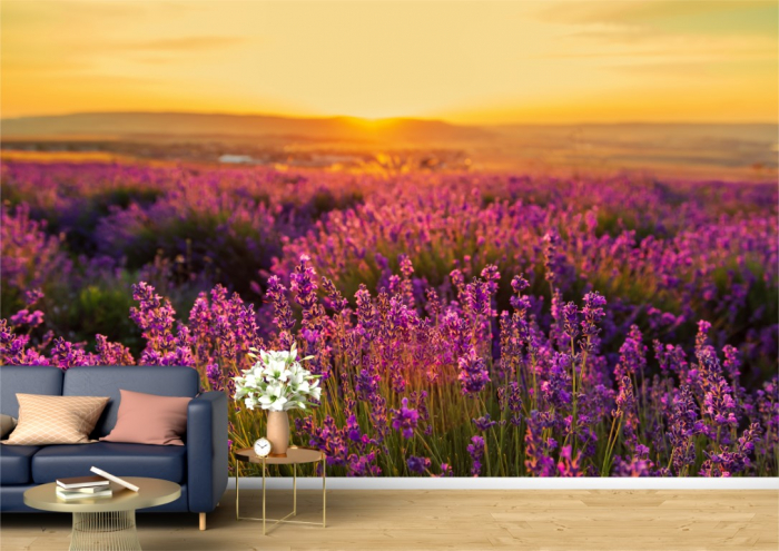 Tapet Premium Canvas - Campul de lavanda in amurg [1]
