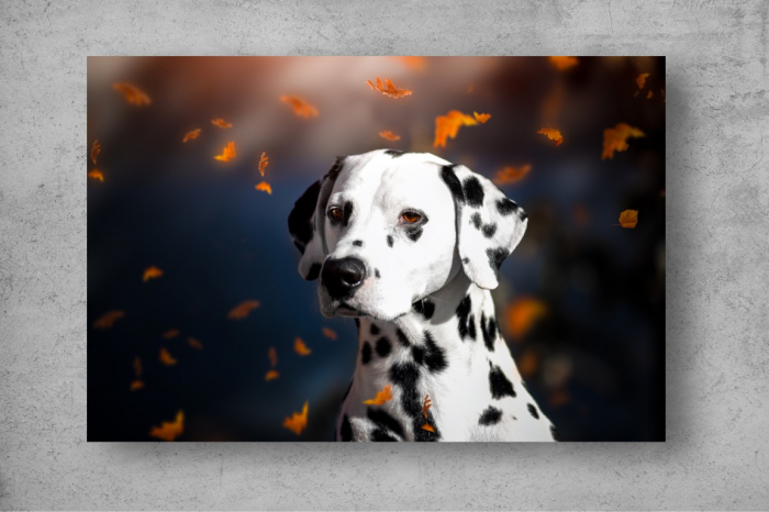 Tapet Premium Canvas - Dalmatianul si frunzele [2]