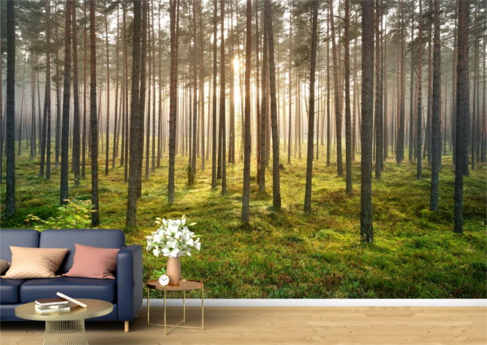 Tapet Premium Canvas - Dimineata in padure [1]