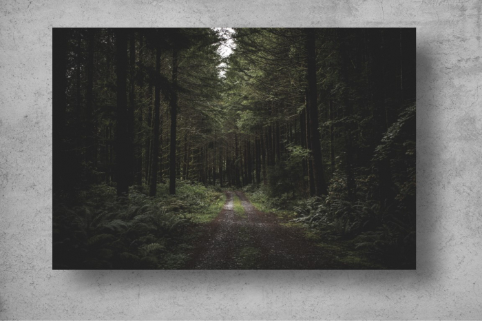 Tapet Premium Canvas - Drumul noroios din padurea intunecata [2]