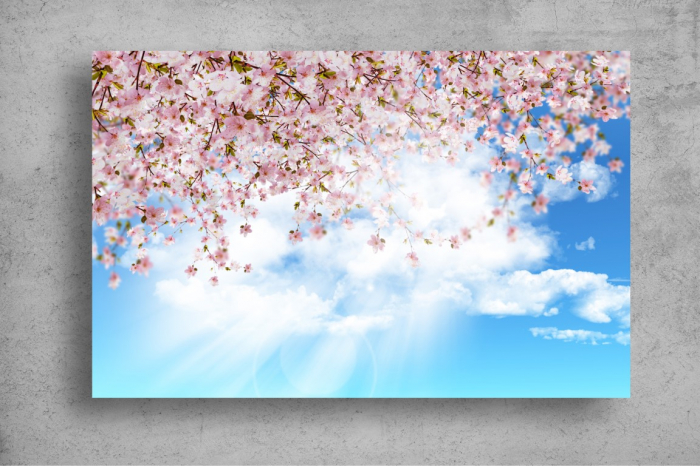 Tapet Premium Canvas - Flori colorate in mijlocul verii [2]