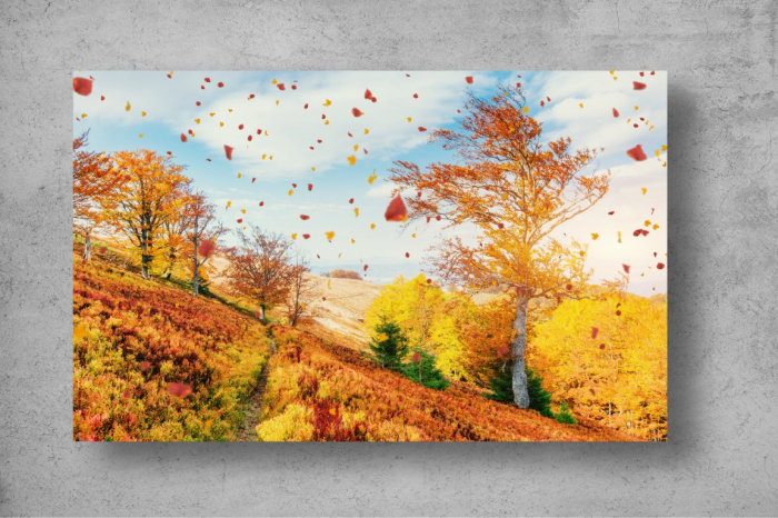 Tapet Premium Canvas - Padure de mesteacan la sfarsitul toamnei [2]