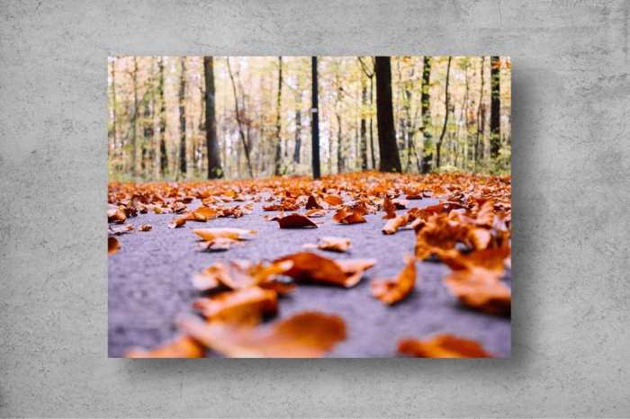 Tapet Premium Canvas - Peisaj de toamna cu frunze pe asfalt [2]