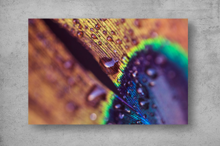 Tapet Premium Canvas - Penele paunului abstract [2]