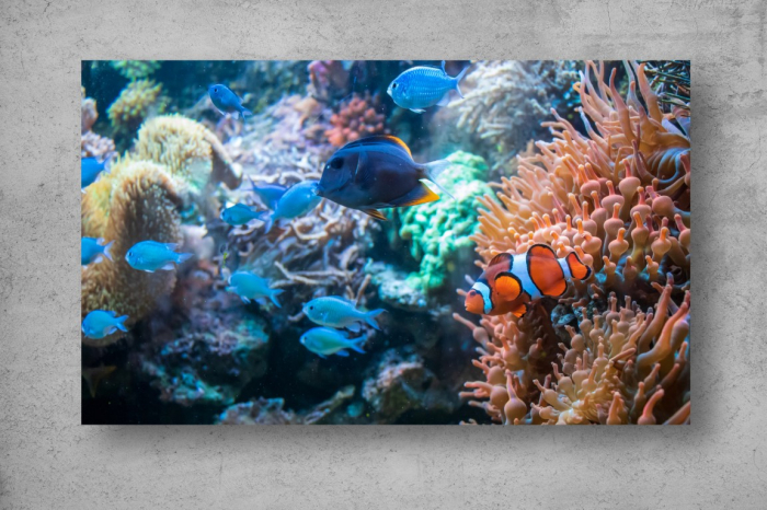 Tapet Premium Canvas - Pesti albastri in ocean [2]