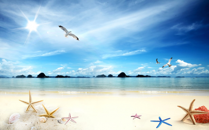 Tapet Premium Canvas - Plaja si stele de mare [2]