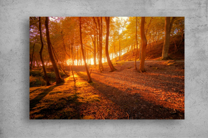 Tapet Premium Canvas - Scenariu de toamna [2]