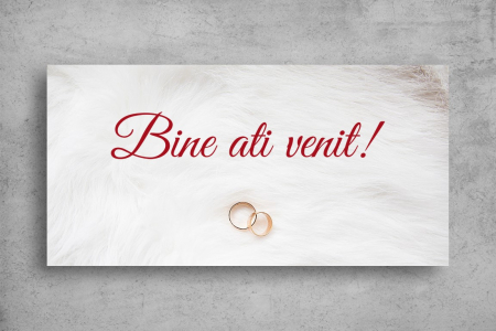 Pancarte decorative - Pancarta decorativa - Eveniment model 27