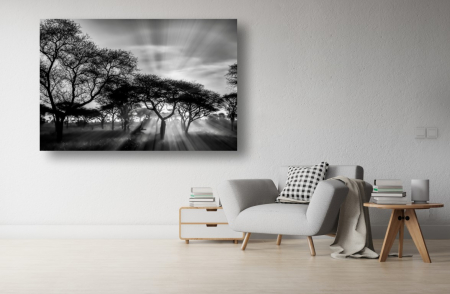 Tablouri Canvas cu peisaje - Tablou Canvas - Apusul printre pomii din savana