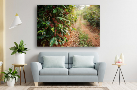 Tablouri Canvas cu peisaje - Tablou Canvas - Arborele de cafea