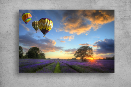 Tablou Canvas - Baloane si lavanda [1]