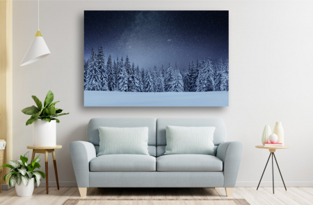 Tablouri Canvas cu peisaje - Tablou Canvas - Brazii inzapeziti