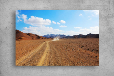 Tablou Canvas - Calator prin desert [1]