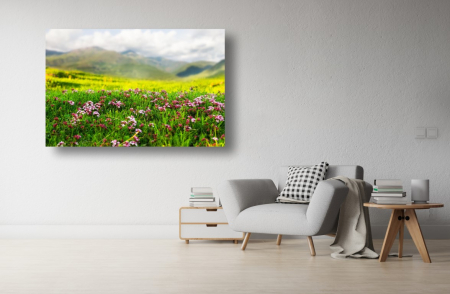 Tablouri Canvas cu peisaje - Tablou Canvas - Camp de flori la munte