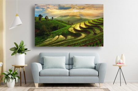 Tablouri Canvas cu peisaje - Tablou Canvas - Camp de orez la apus