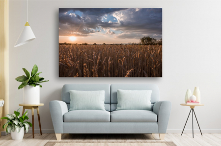 Tablouri Canvas cu peisaje - Tablou Canvas - Campul de grau la amiaza