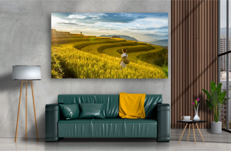 Tablouri Canvas cu peisaje - Tablou Canvas - Campul de orez