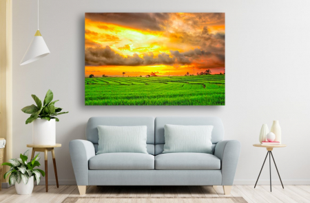 Tablouri Canvas cu peisaje - Tablou Canvas - Campul de orez la apus