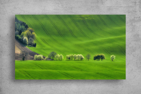 Tablou Canvas - Campul inverzit [1]