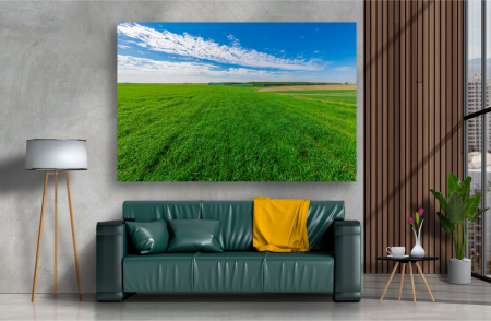 Tablouri Canvas cu peisaje - Tablou Canvas - Campul verde