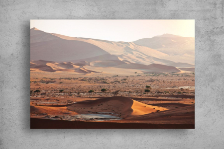 Tablou Canvas - Copacii singuratici din desert [1]
