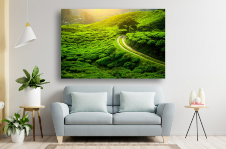 Tablouri Canvas cu peisaje - Tablou Canvas - Copacul din plantatia de ceai