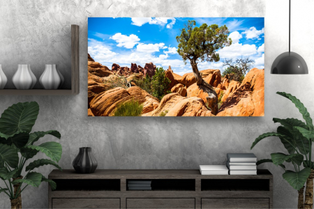 Tablouri Canvas cu peisaje - Tablou Canvas - Copacul dintre stanci