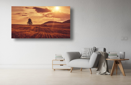 Tablouri Canvas cu peisaje - Tablou Canvas - Copacul pe camp la rasarit