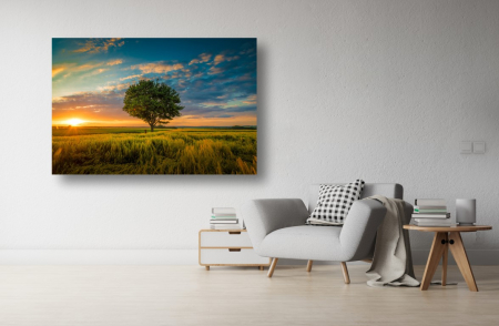 Tablouri Canvas cu peisaje - Tablou Canvas - Copacul singuratic la apus