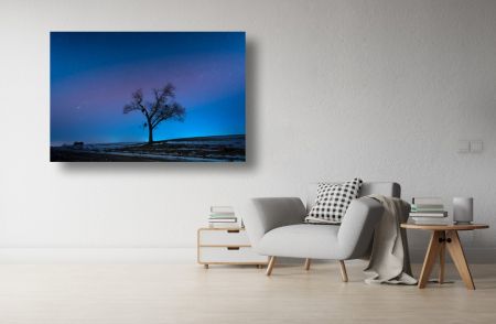 Tablouri Canvas cu peisaje - Tablou Canvas - Copacul singuratic sub cerul albastru instelat