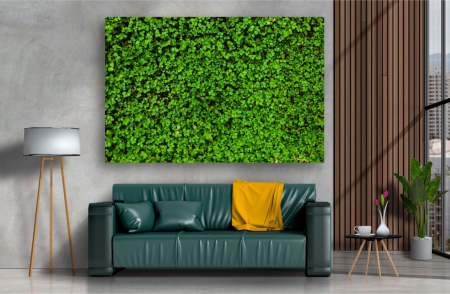 Tablouri Canvas Flori - Tablou Canvas - Covorul verde