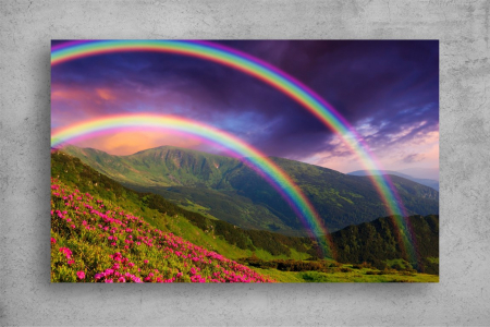 Tablou Canvas - Curcubeul dublu [1]