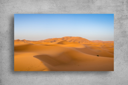 Tablou Canvas - Desertul Sahara [1]