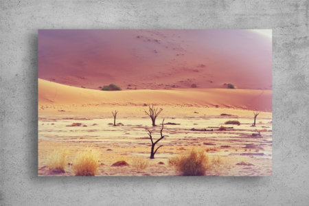 Tablou Canvas - Desertul si copacii [1]