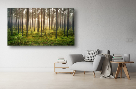 Tablouri Canvas cu peisaje - Tablou Canvas - Dimineata in padure