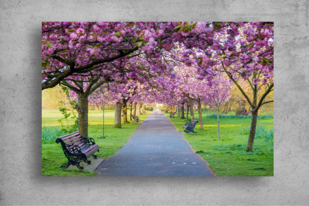Tablou Canvas - Dimineata in parc [1]
