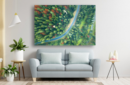 Tablouri Canvas cu peisaje - Tablou Canvas - Drumul dintre copacii inverziti