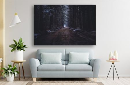 Tablouri Canvas cu peisaje - Tablou Canvas - Drumul intunecat prin padure