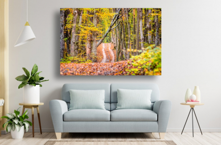 Tablouri Canvas cu peisaje - Tablou Canvas - Drumul prin padure intr-o toamna tarzie