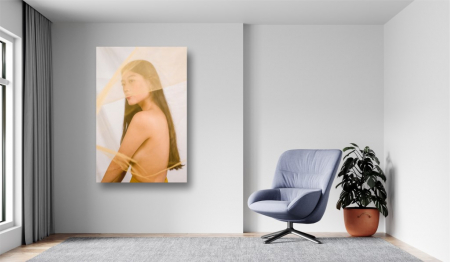 Tablouri Canvas Sexy - Tablou Canvas - Femeie sexy nud cu voal