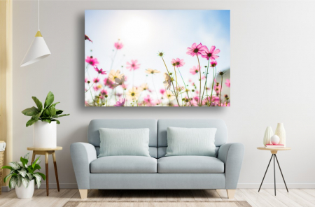 Tablouri Canvas cu peisaje - Tablou Canvas - Flori colorate in soarele puternic