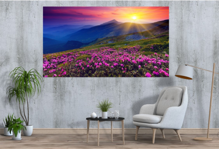 Tablouri Canvas cu peisaje - Tablou Canvas - Flori la rasarit