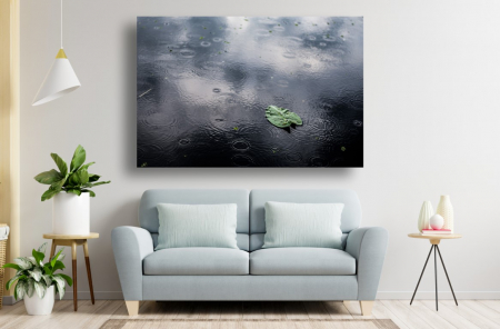 Tablouri Canvas cu peisaje - Tablou Canvas - Frunza verde in ploaie pe asfalt