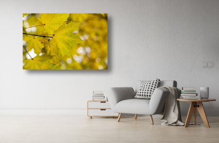Tablouri Canvas cu peisaje - Tablou Canvas - Frunzele din parc toamna