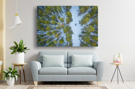 Tablouri Canvas cu peisaje - Tablou Canvas - La plimbare prin padurea inzapezita