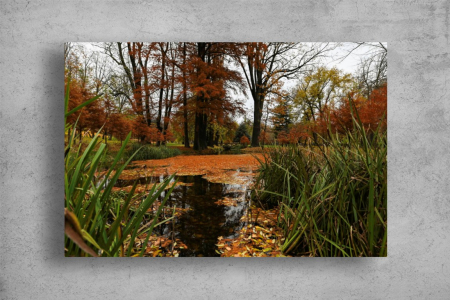 Tablou Canvas - Lacul din parc [1]