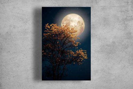 Tablou Canvas - Luna si copacul [1]